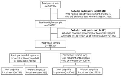 The Effect of Long-Term or Repeated Use of Antibiotics in Children and Adolescents on Cognitive Impairment in Middle-Aged and Older Person(s) Adults: A Cohort Study